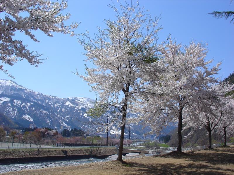 Pension Noah Yuzawa  Exterior photo